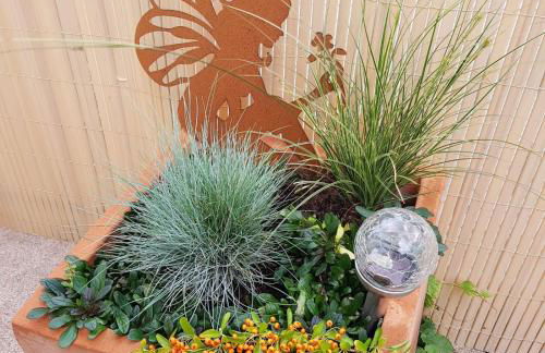 Ahrtal Vier Sterne Ferienwohnungen Alexandra Weiler Ferienwohnung Harmonie - Foto 19