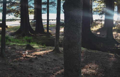 Lodge at Loch Lomond - Foto 42