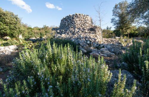 Secluded fisherman's cottage Cove Babac, Pasman - 20901 - Foto 6