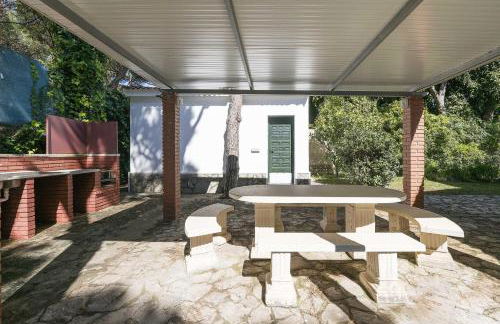 Las Camelias - Foto 6