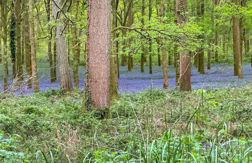 Holly Cottage - Foto 43