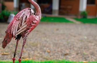 Appartamento Camisa - Il Gelso - Foto 31