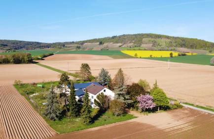 Ferienwohnungen Rosenhof - Foto 1