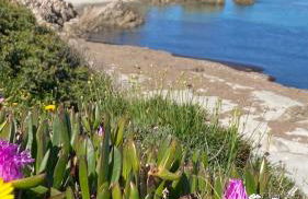 Julian's house Portopollo - Photo 43