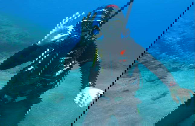 Scuba Diving Introduction in São Miguel - Photo 2