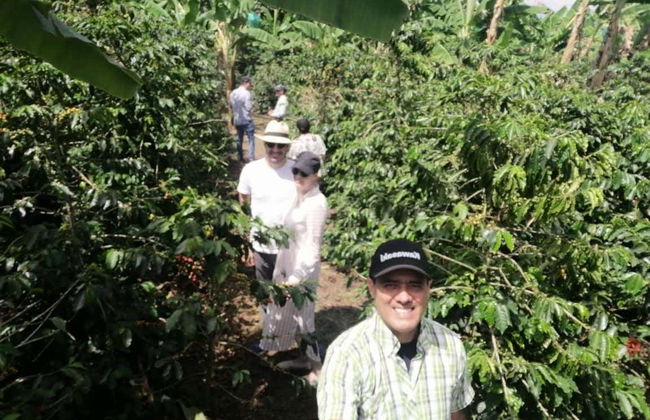 Visite autour du cacao dans la ferme El Argel - Photo 7