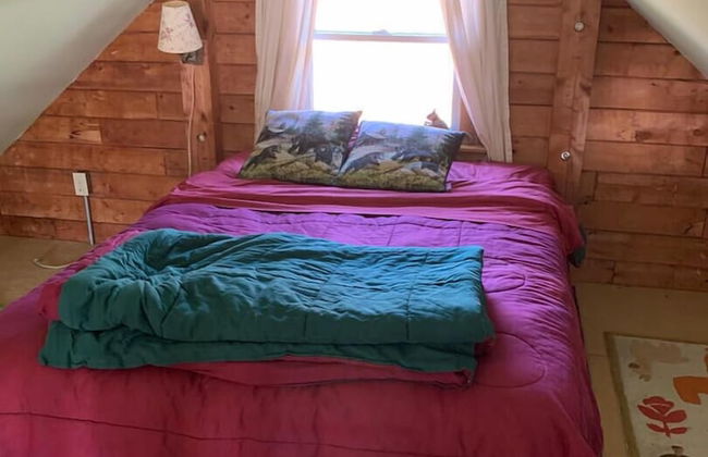 Dear Cove - Kayaking! - Foto 3