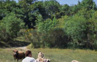 Castello di Baccaresca - Foto 44