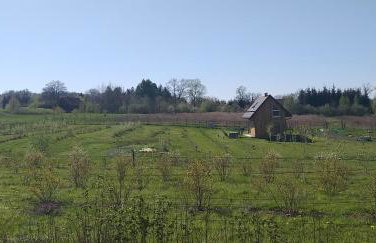 E Berry Farm - Slow life home - Foto 13