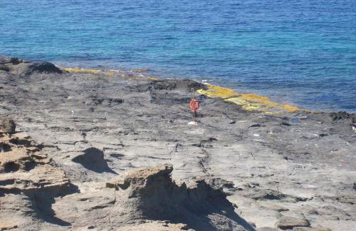 Dammusi I Jardina - Foto 60