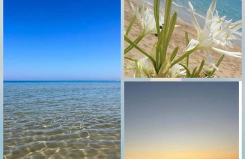 Villa Shari - Foto 6