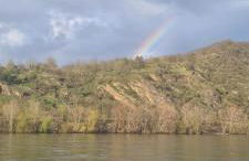 Castello Apartment Boppard - Foto 31
