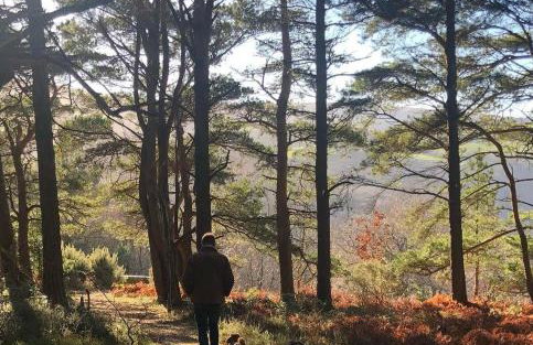 Sea views, private garden, comfortable family and dog friendly home - Foto 21