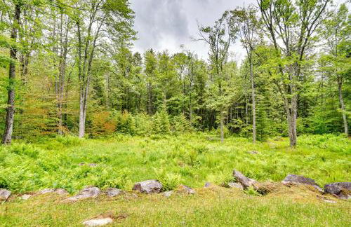 Jamaica Vacation Home with Deck 8 Mi to Skiing! - Foto 38