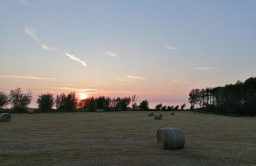 Hof am Meer "Seerose" - Foto 22