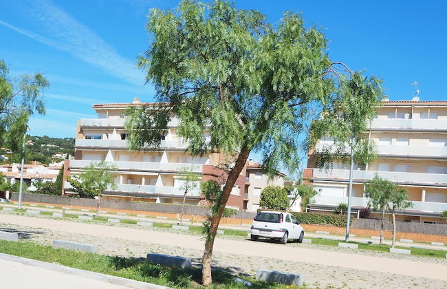 Amazing Penthouse on the Seafront - Foto 8