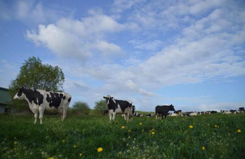 Kleine einzigartige Ferienwohnung auf dem Bauernhof, direkt in der Natur mit Blick auf Schloss Braunfels - Foto 47