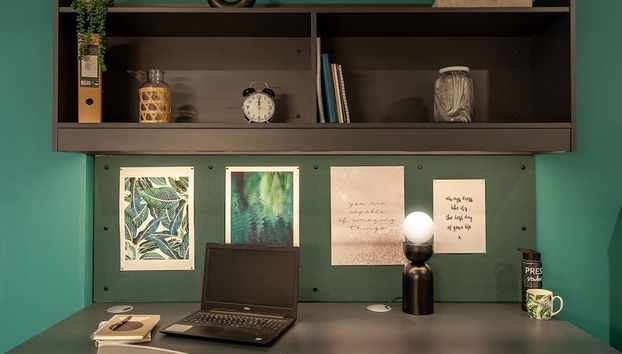 Terry Frost Budget-Friendly Ensuite Room for Students Only - Foto 4, Habitación