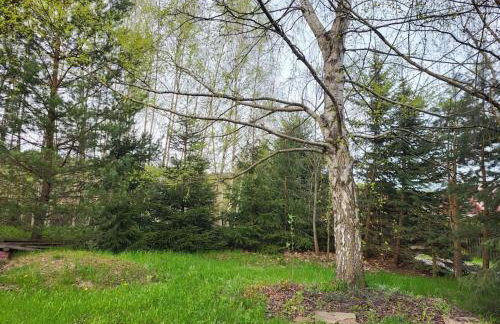 Cisza i Las - Dom na wyłączność, Prywatny Las, 2 pokoje, Polanica Zdrój - Foto 11