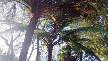 Family Secrets Santo André - Foto 4, Garden