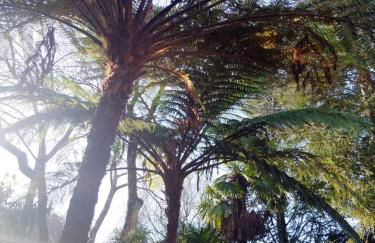 Family Secrets Santo André - Foto 4