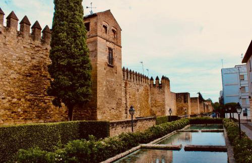 Galope Premium - Foto 35