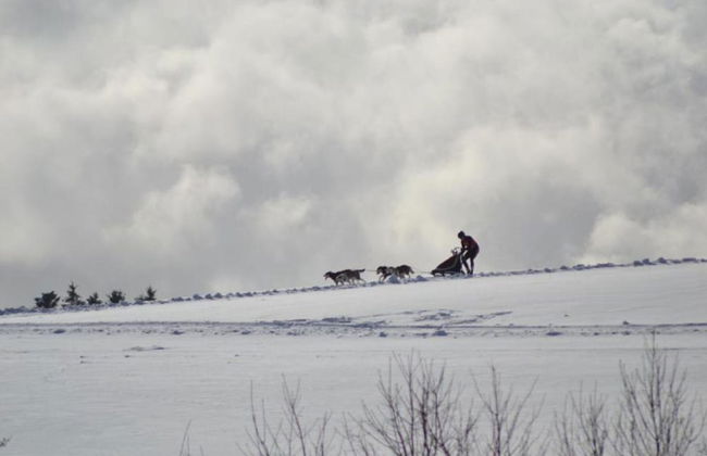 Adorable Aparment in Wildemann With Parking - Foto 64