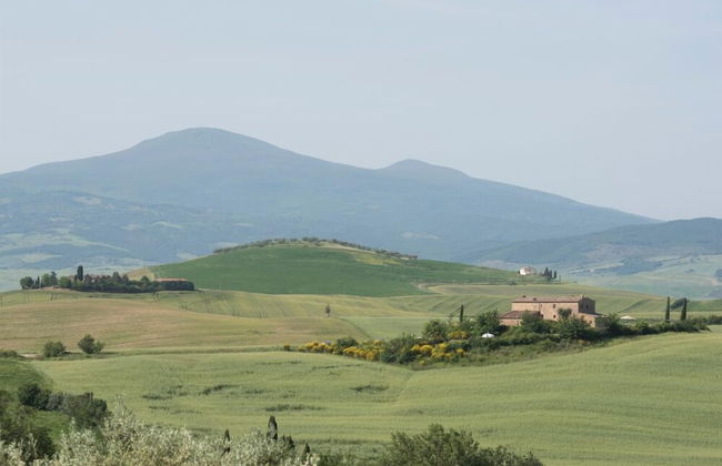 Verdidea - PRUGNOLO - Foto 60