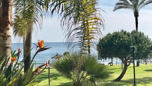 MI CAPRICHO A17 Beachfront Apartment - Foto 5, Garden
