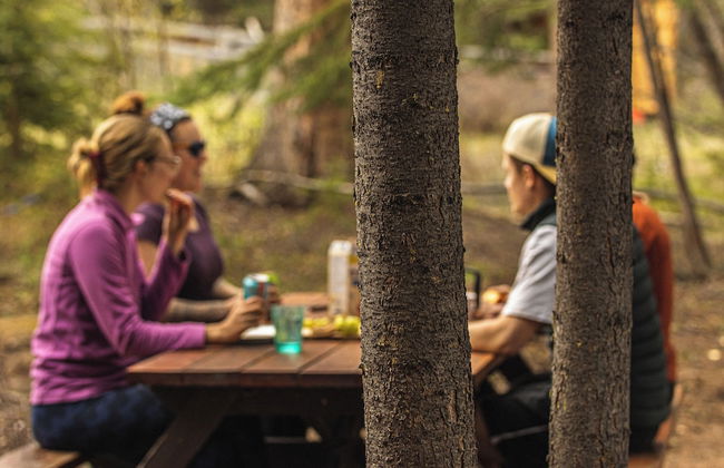 Little Atlin Lodge - Photo 59