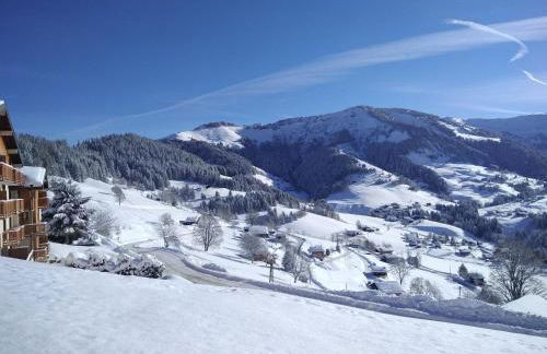 Demi Chalet Le LACHAT - Photo 44