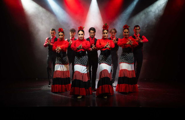 Olé Flamenco Show - Foto 6