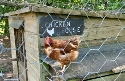 Morvoren Cottage - Foto 20