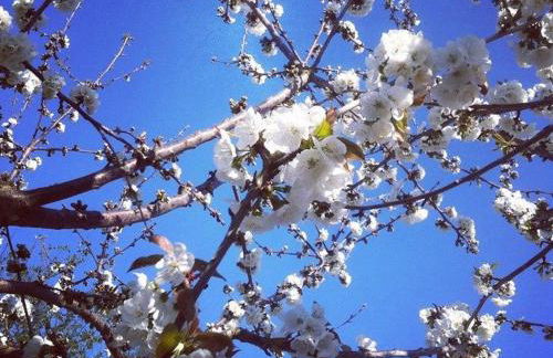 Affittacamere Pergolato di Sotto - Foto 29