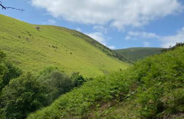 Quaint 1 bedroom cottage in Church Stretton - Pass the Keys - Foto 25