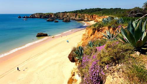 Apartamento Praia Vau T1 - Foto 2