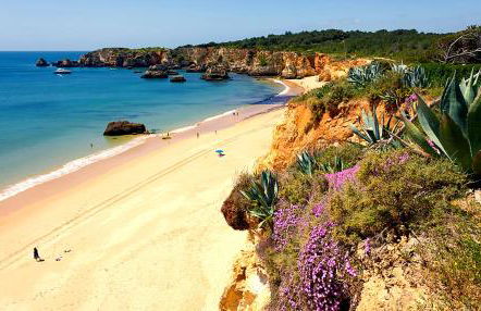 Apartamento Praia Vau T1 - Foto 2