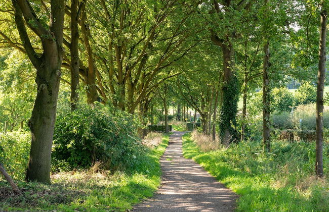 Holiday Home in Limburg With Terrace - Photo 36