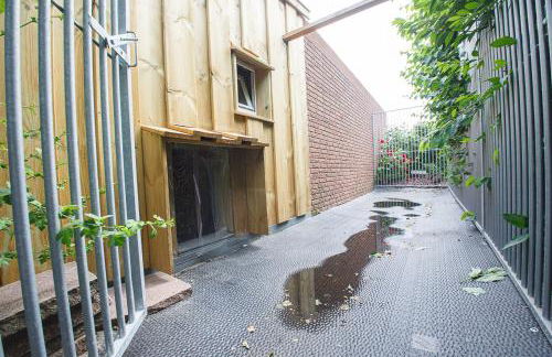 Midlum Stieglitz - Foto 12