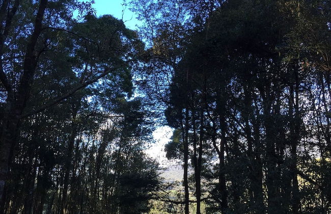 Manna Hill Farm - Foto 33