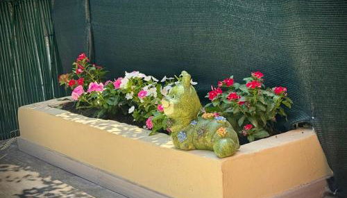 Santa Marinella Homes Casa 5 - Foto 5, Garden