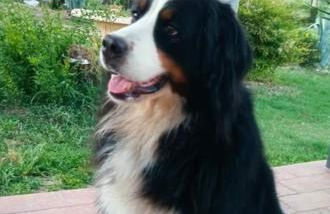 Residence Grimani - Photo 35