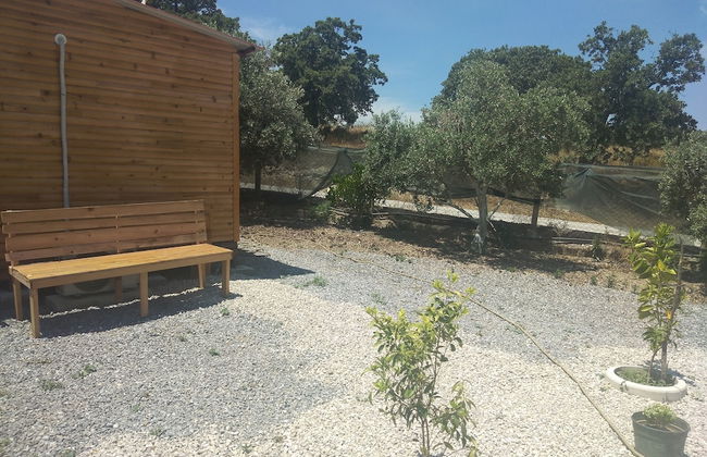 Akarca Bag Evleri - Photo 24