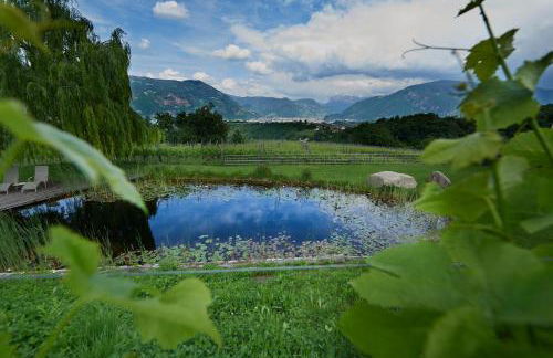 Weingut Stuck - Foto 34