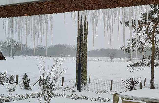 Charming Holiday Home in Nijverdal with Hot Tub - Foto 47