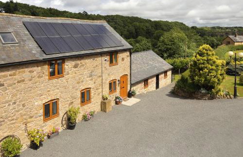 Little Cow House - Foto 24