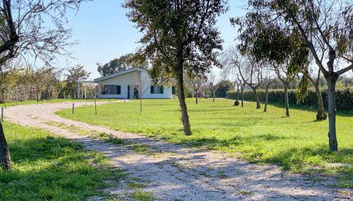 Cicale relaxing home - aria condizionata, parcheggio, giardino - Photo 2, Garden