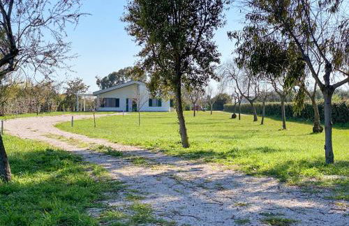 Cicale relaxing home - aria condizionata, parcheggio, giardino - Photo 2