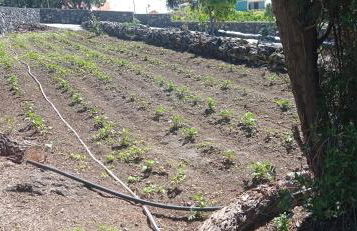 El Sueño Del Angel - Foto 21