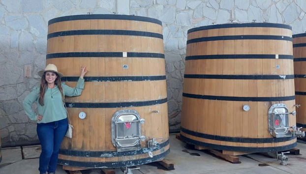 Aguascalientes Private Winery Tour - Foto 2